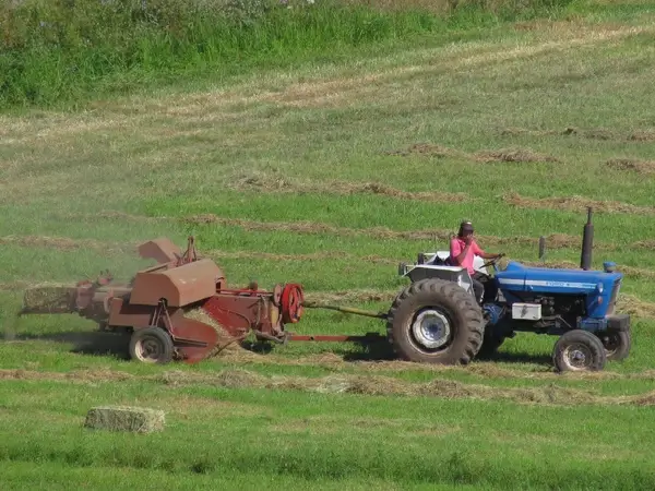 ford tractor