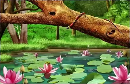 forest of lotus pool psd layered
