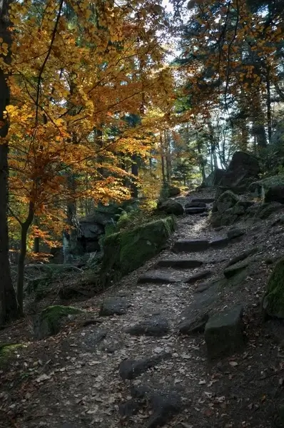 france landscape steps