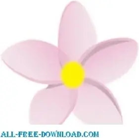Frangipani