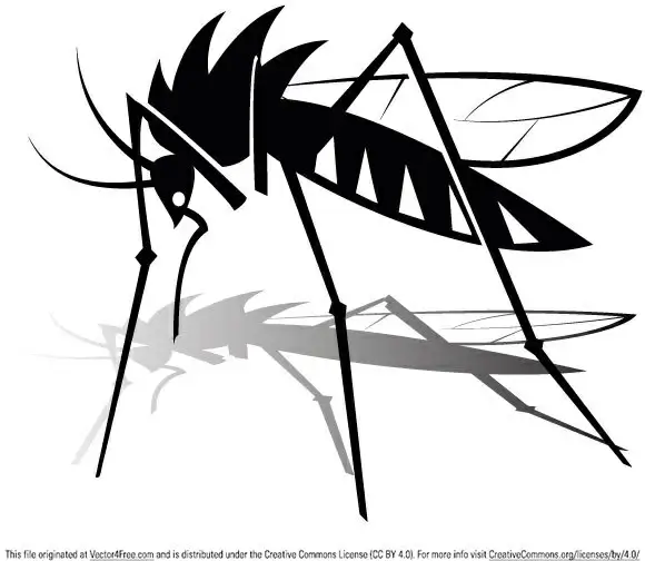 free mosquito vector graphics