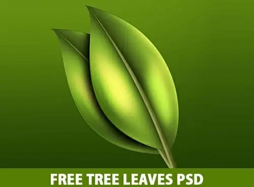 Free Tree Leaves PSD