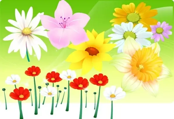 flowers background template various colorful types design
