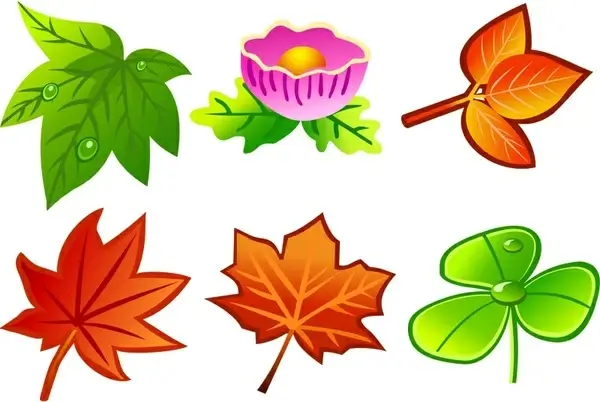 leaves icons collection various colorful types