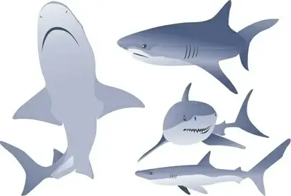 White shark icons collection various posture styles Vectors graphic art ...