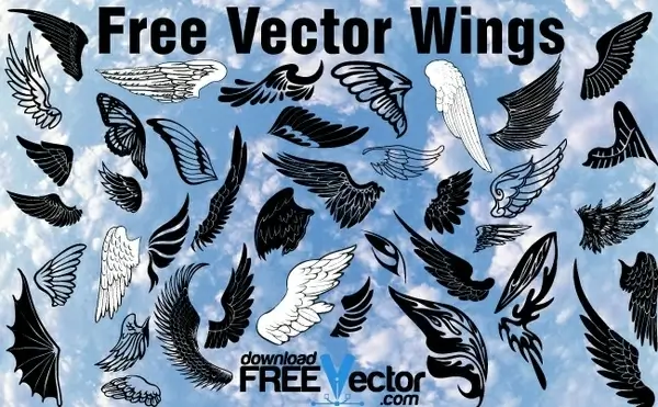 Free Vector Wings