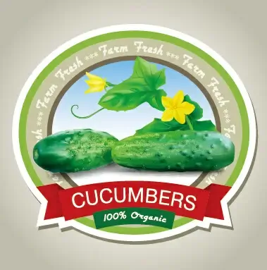 fresh cucumbers creative labels vector
