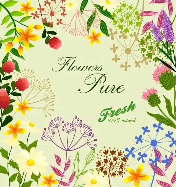 fresh flowers background colorful drawing calligraphy decor