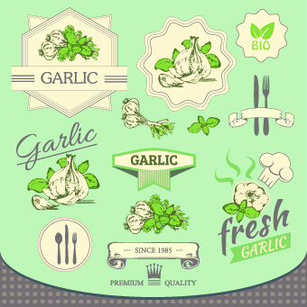 fresh food label design vector
