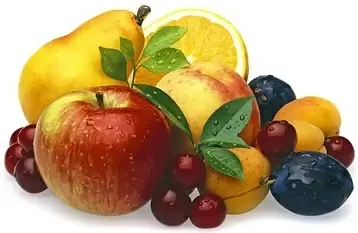 fresh fruit picture