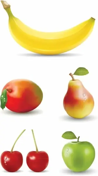 fresh fruit vector