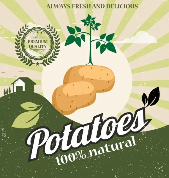 fresh potato advertising multicolored retro design