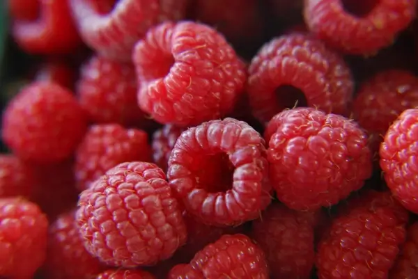 fresh raspberries
