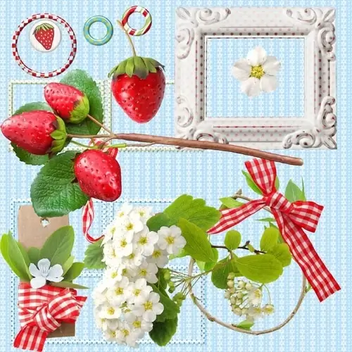 fresh strawberries and photo frames psd layered