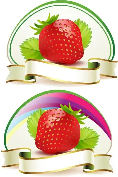 fresh strawberry elements background vector