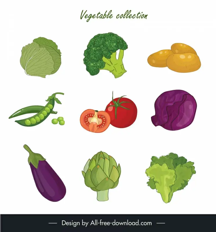 fresh vegetables collection modern design 
