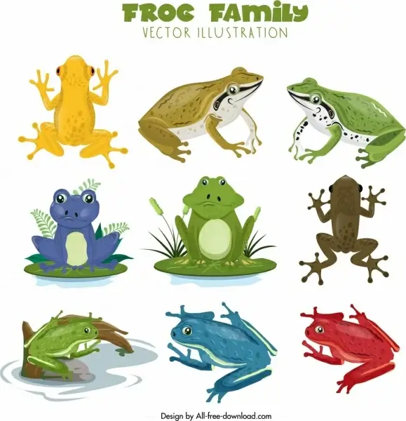 frog species icons collection colorful cartoon design