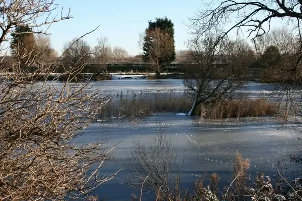 frozen lake 5