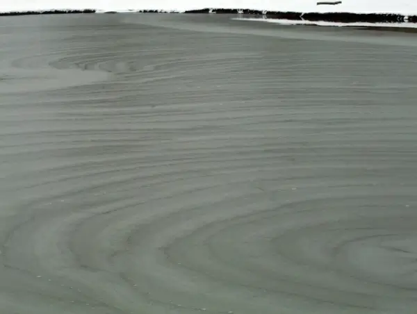 frozen pond