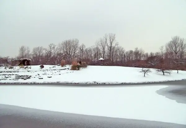 frozen pond