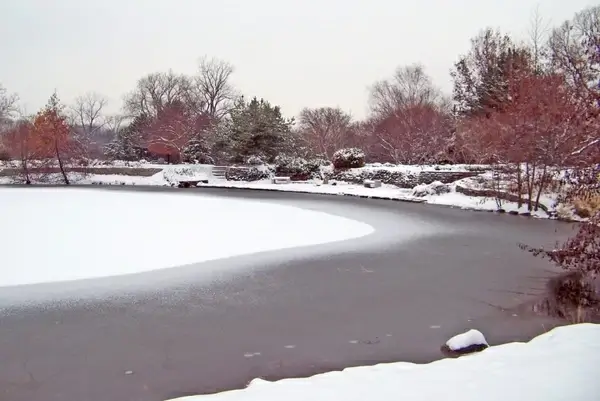 frozen pond