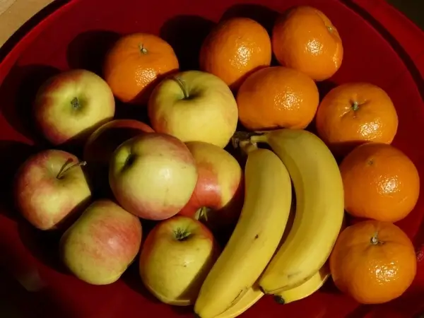 fruit fruit bowl fruits
