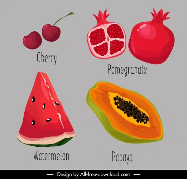 fruit icons colored classical handdrawn sketch