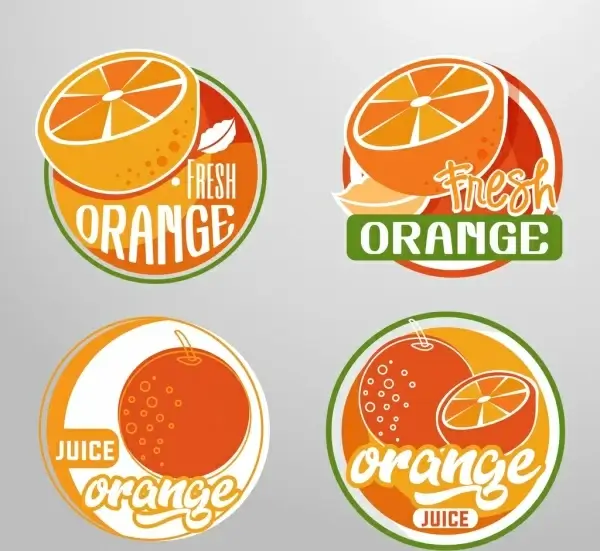fruit logotypes orange icon circle design