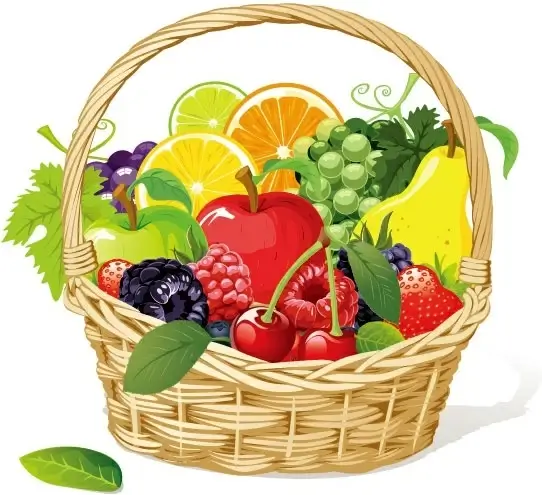 Hand drawn illustration set of Fruit Basket. Stock Vector | Adobe Stock