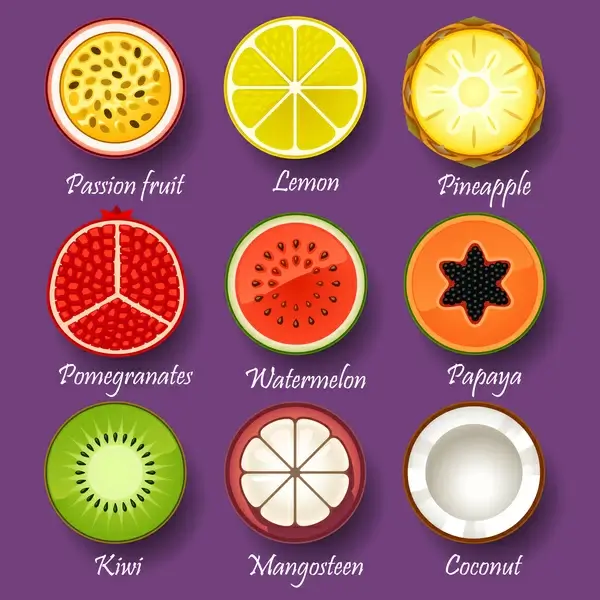 fruit slice collections