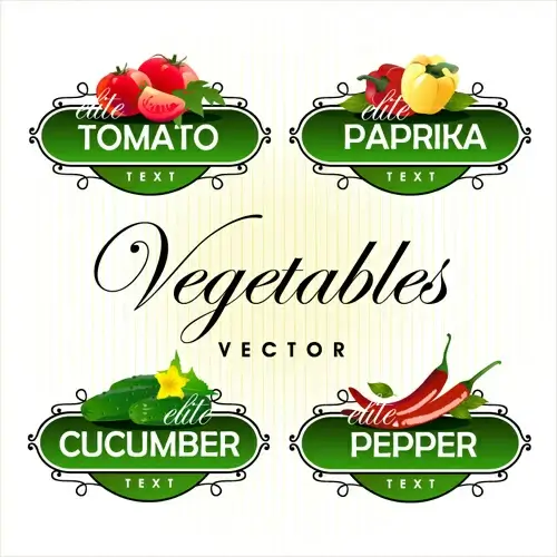 fruit with vegetables labels design set