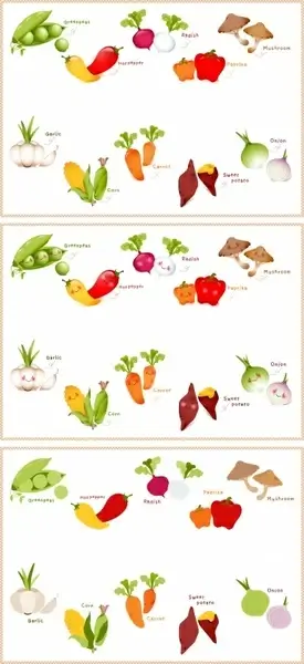 vegetables educational banner templates colorful flat symbols design