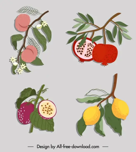 fruits icons colored retro sketch