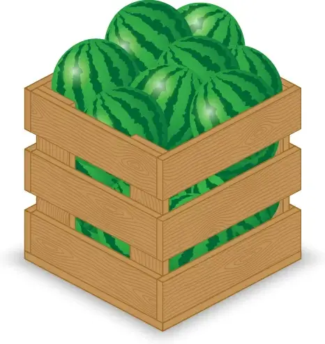 fruits with wooden crate vector graphics