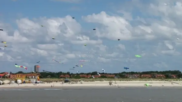 fun fly dragon rising