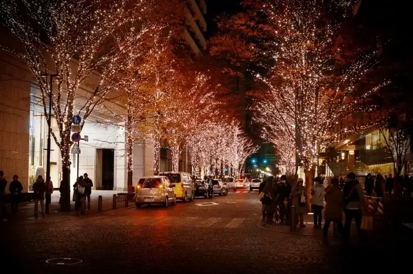 ginza christmas illumination 