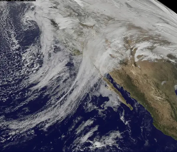 goes 11 captures the quotpineapple expressquot