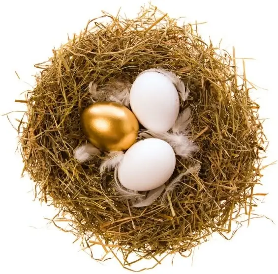 golden egg nest 01 hd pictures