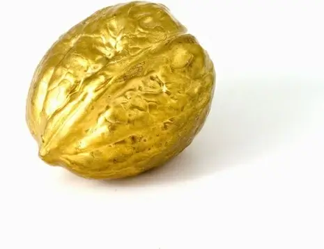 golden nut