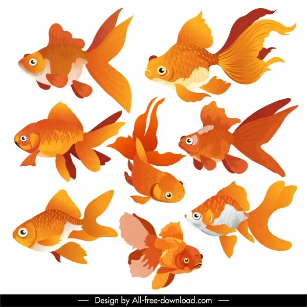 goldfish icons swimming motion sketch