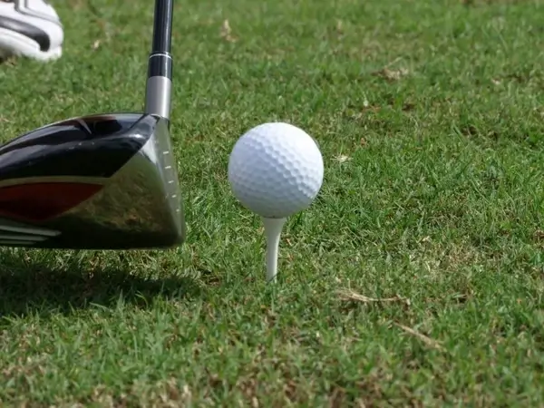 golf ball tee