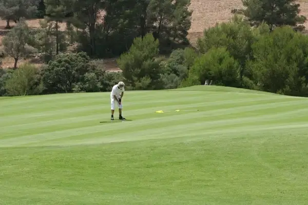 golf put