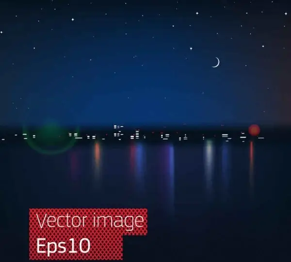 Gorgeous night view vector