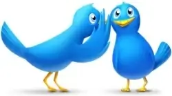 Gossip birds