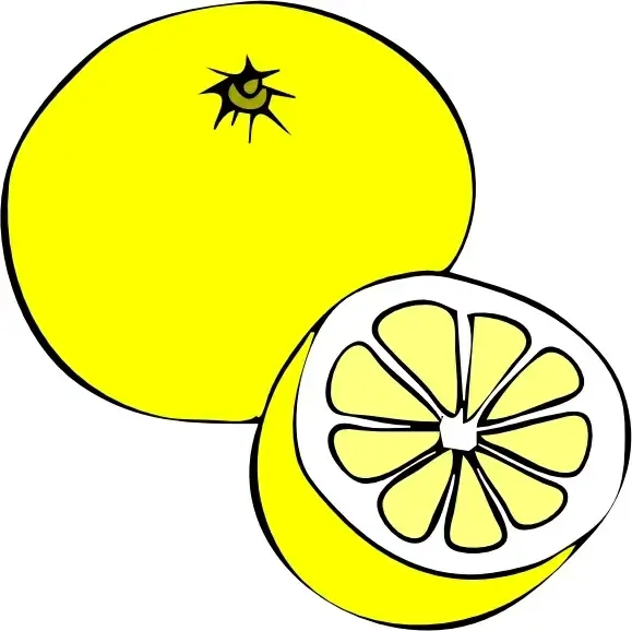 Grapefruit clip art