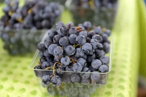 grapes 