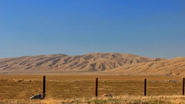 grapevine california