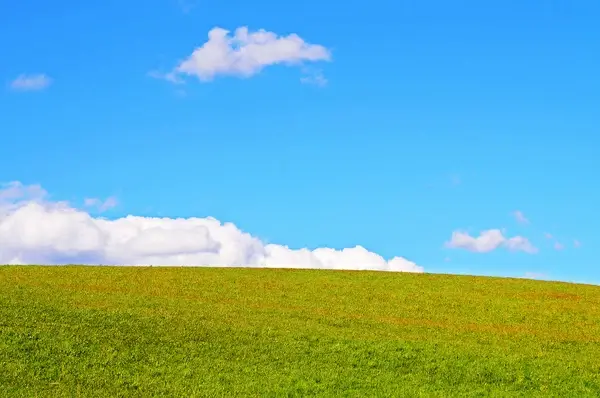grass and sky