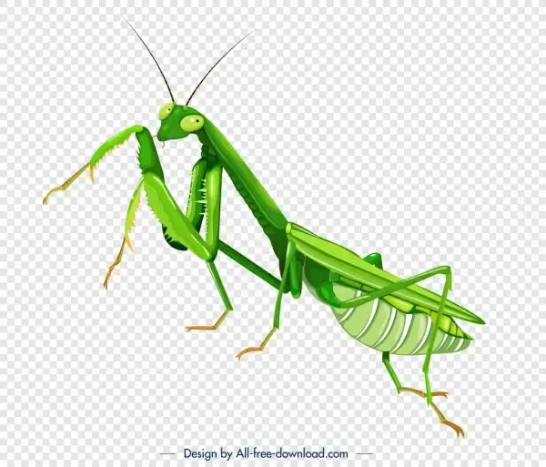 grasshopper insect icon green 3d closeup sketch