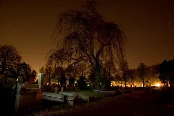graveyard at night